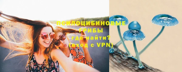 Альфа ПВП Козловка