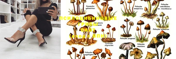 альфа пвп Козельск