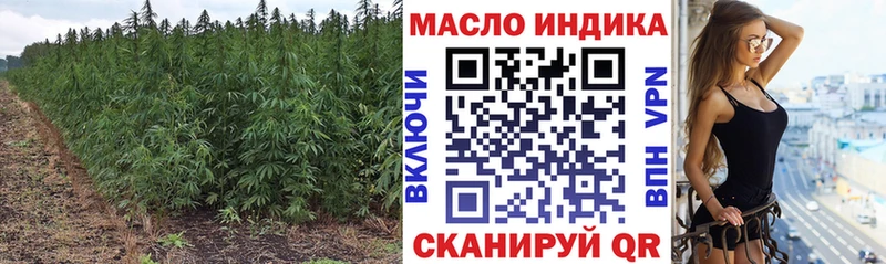 Купить где  Аша  ТГК гашишное масло 