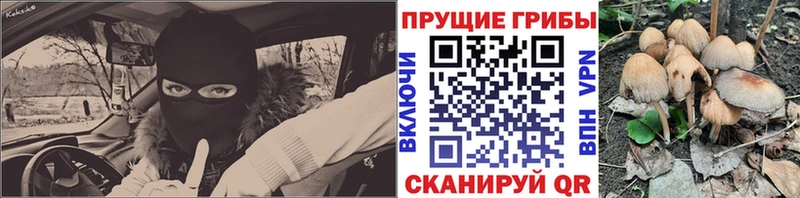Псилоцибиновые грибы ЛСД  Купить  Аша 